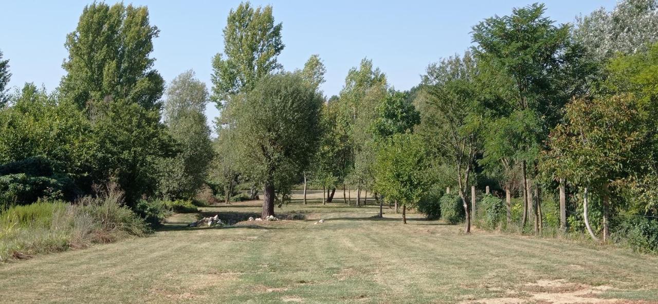 Vegvari Vendeghaz Magyarboly Экстерьер фото